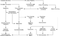 The DSP Family Tree connects basic undergrad concepts to those used in graduate school and in industry